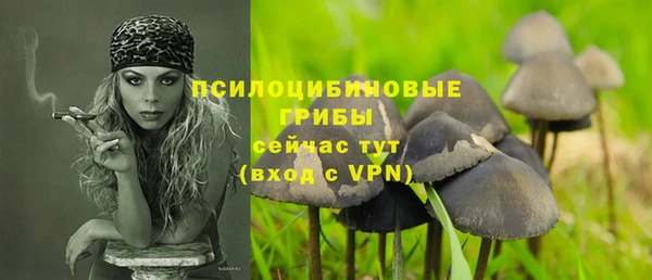 гашик Абинск