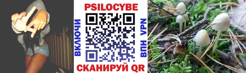 Галлюциногенные грибы ЛСД  Ковдор 